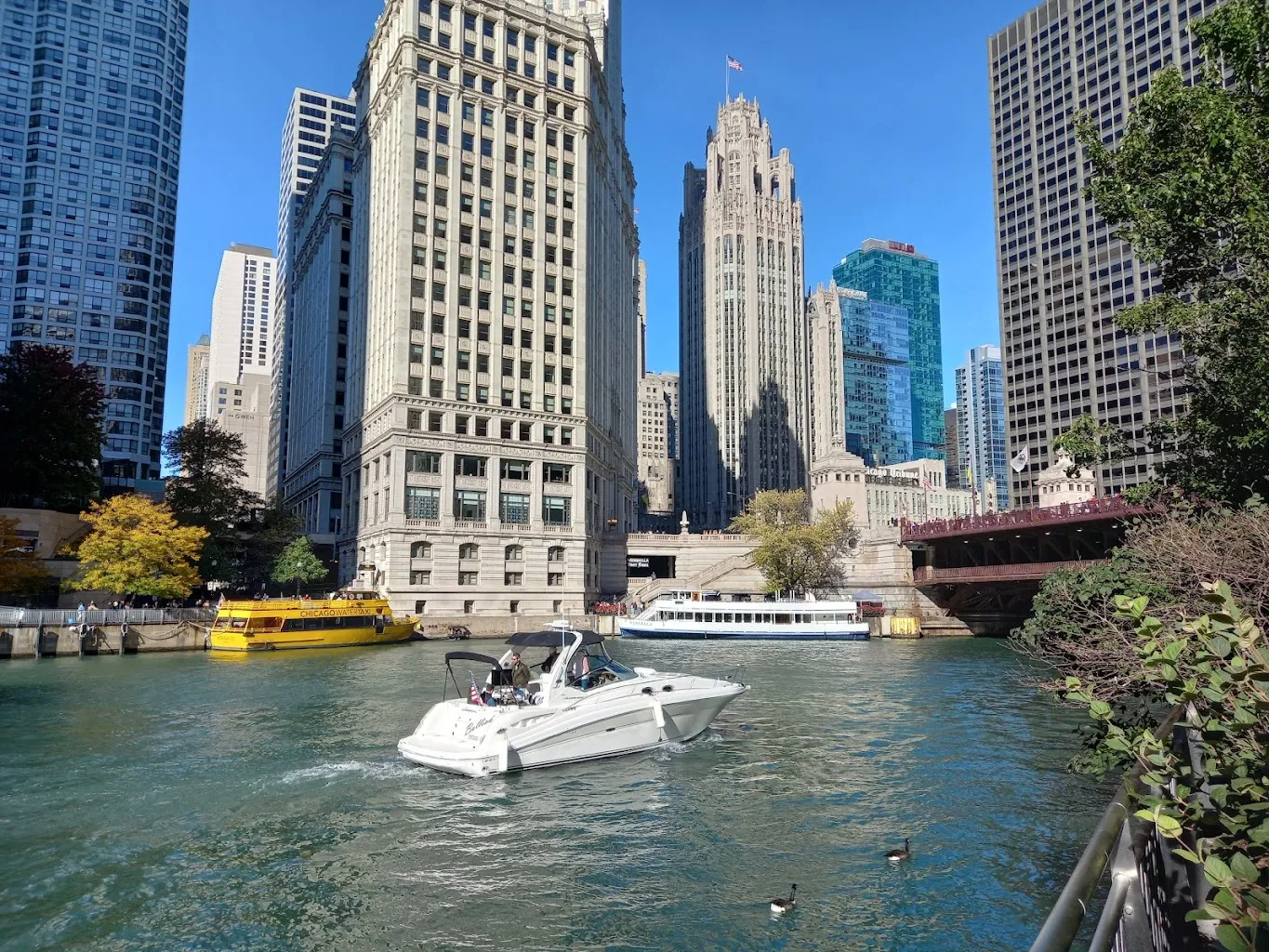 Chicago, United States